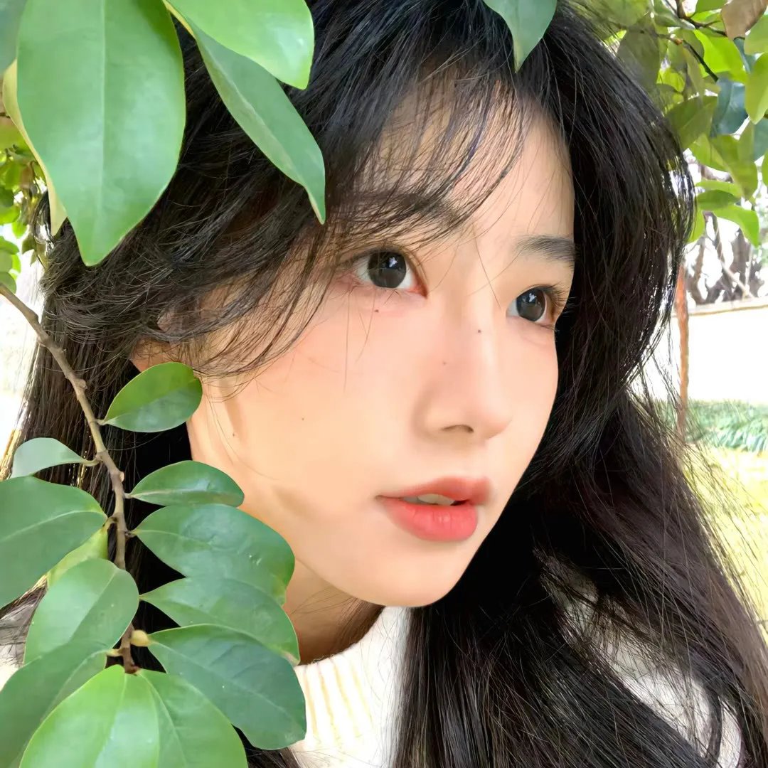 珍的不一样第二季